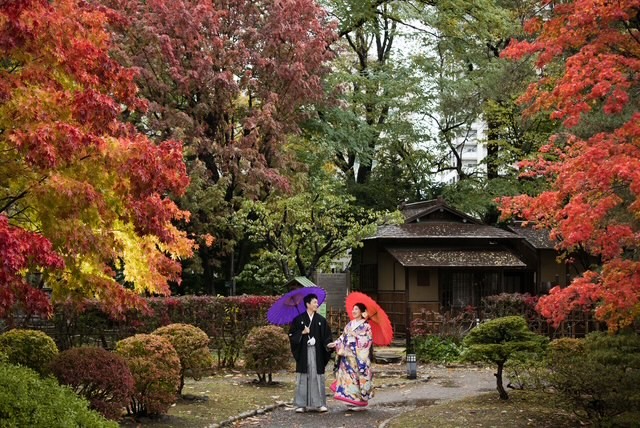 今から準備がベスト！＾＾秋の中島公園での紅葉ロケ＊おすすめです！